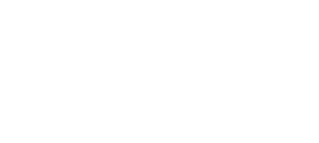 Vivaldi forum - godišnji partner Banca Intesa